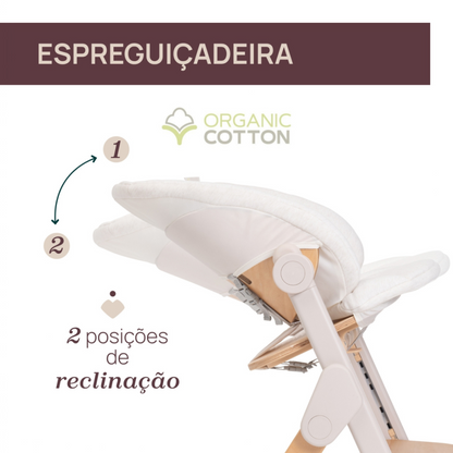 Cadeira De Para Meraviglia Chicco - Fossil