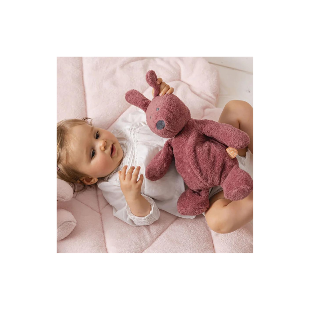 Coelho Susie E Bonnie - Rosa Velho