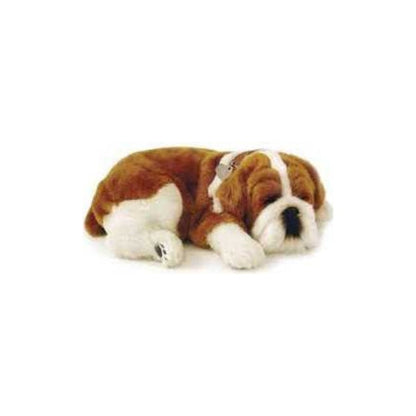 Peluche Cão Buldog Perfect Petzzz