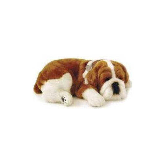Peluche Cão Buldog Perfect Petzzz