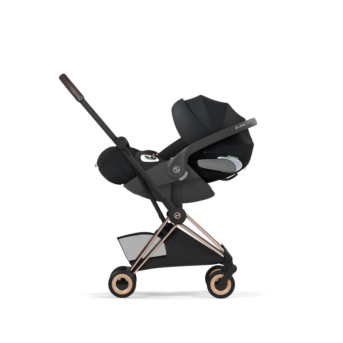 Coya Style Rosegold - Sepia Black