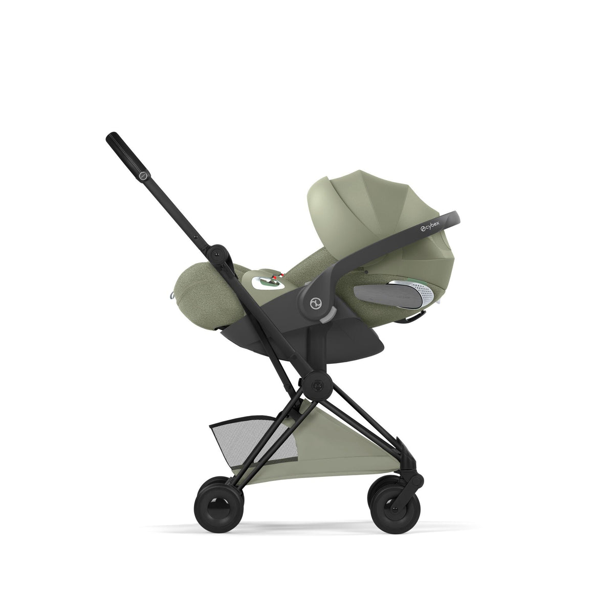Coya Style Black - Sage Green