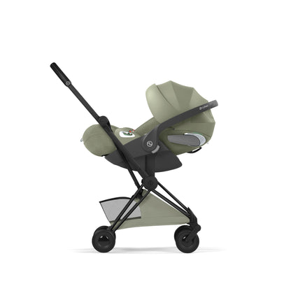 Coya Style Black - Sage Green