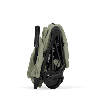 Coya Style Black - Sage Green