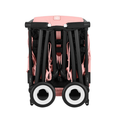 Libelle Black - Candy Pink · 3
