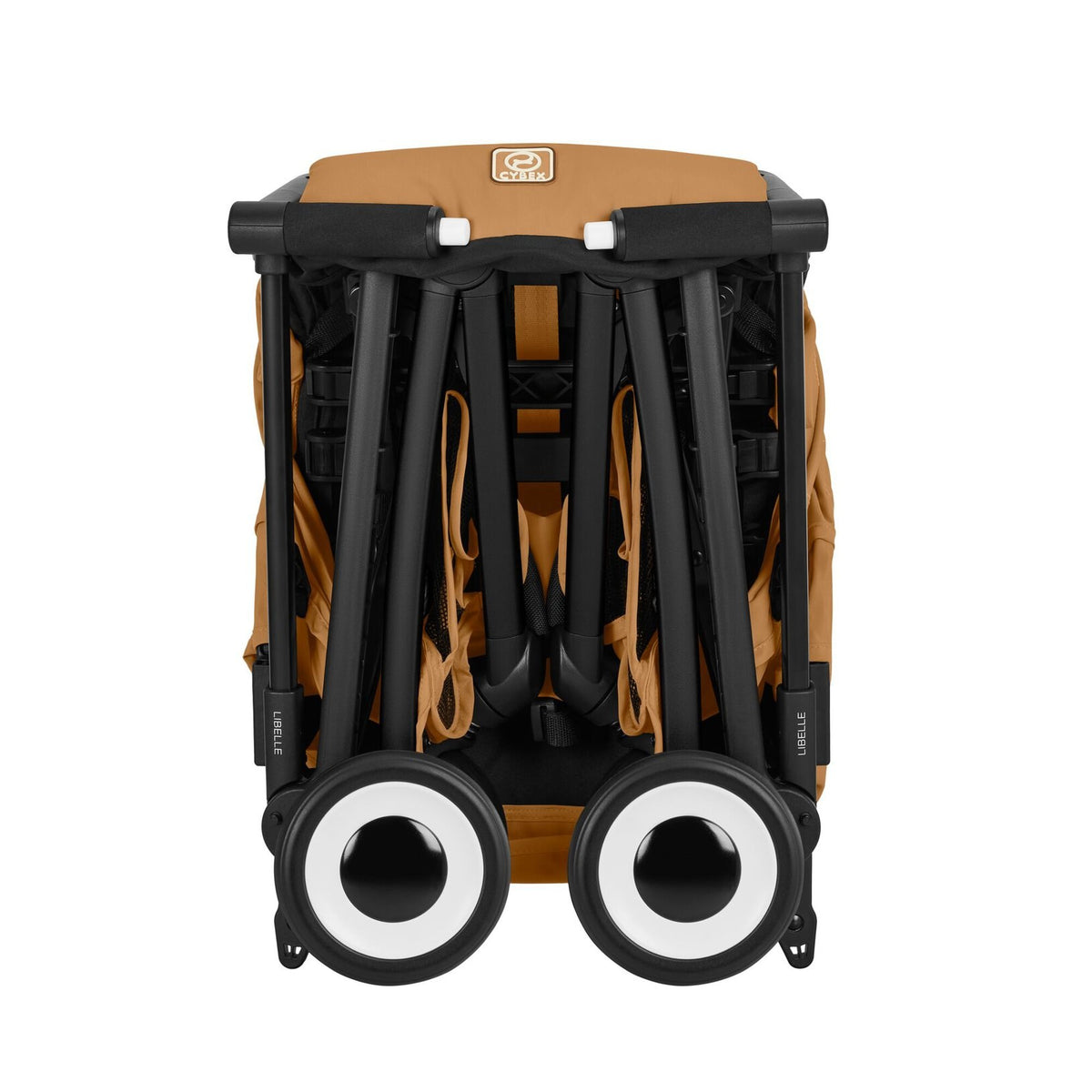Libelle Black - Cinnamon Yellow