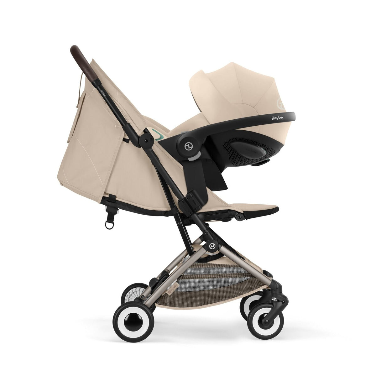 Orfeo Taupe - Almond Beige · 3