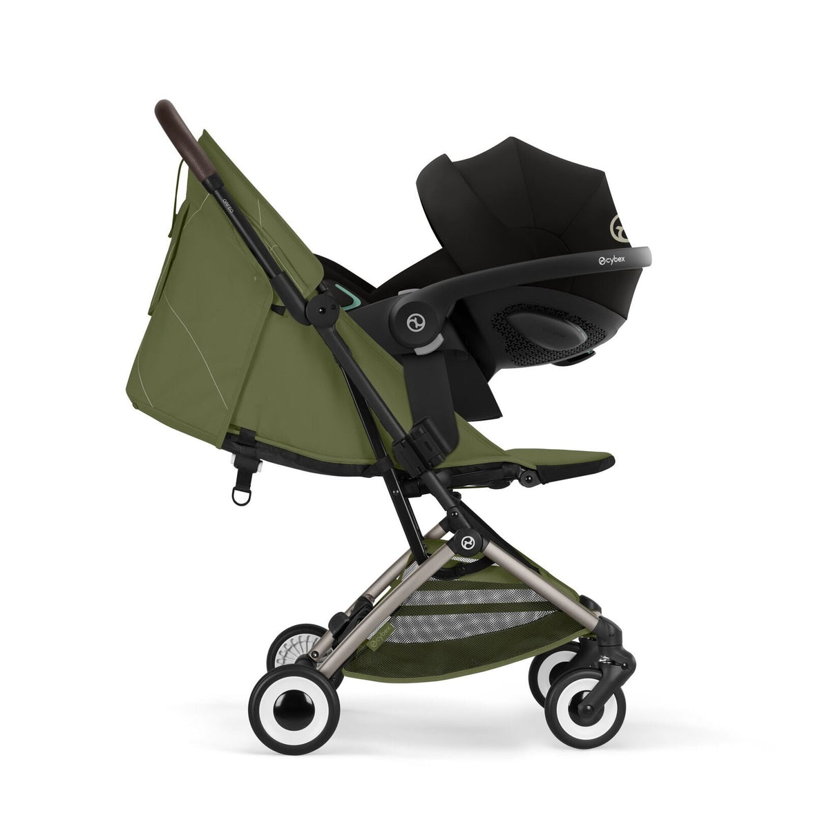 Orfeo Taupe - Moss Green · 3