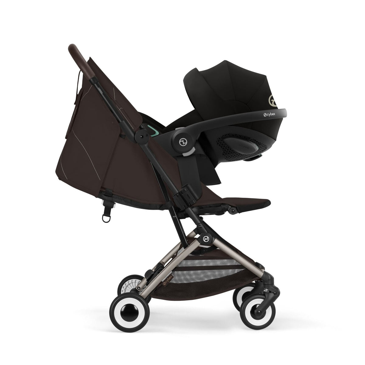 Orfeo Taupe - Chocolate Brown · 3