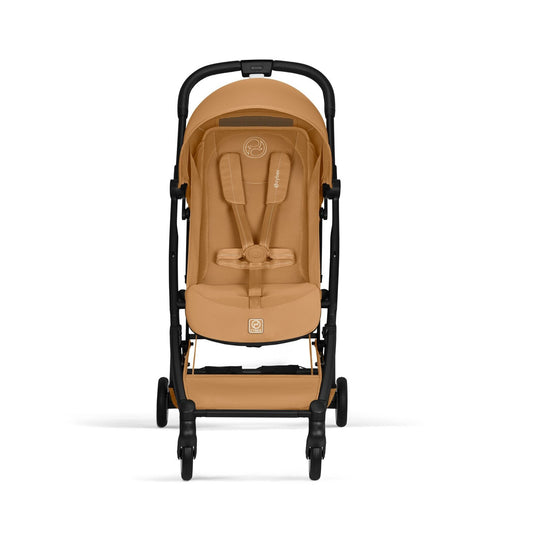 Orfeo Black - Cinnamon Yellow