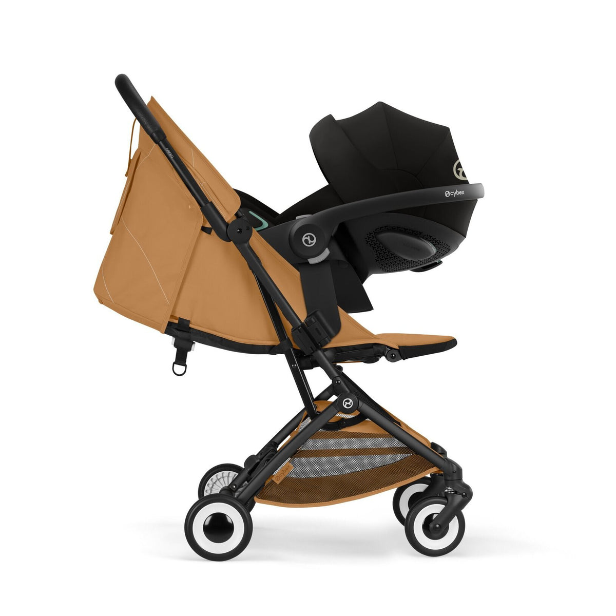 Orfeo Black - Cinnamon Yellow