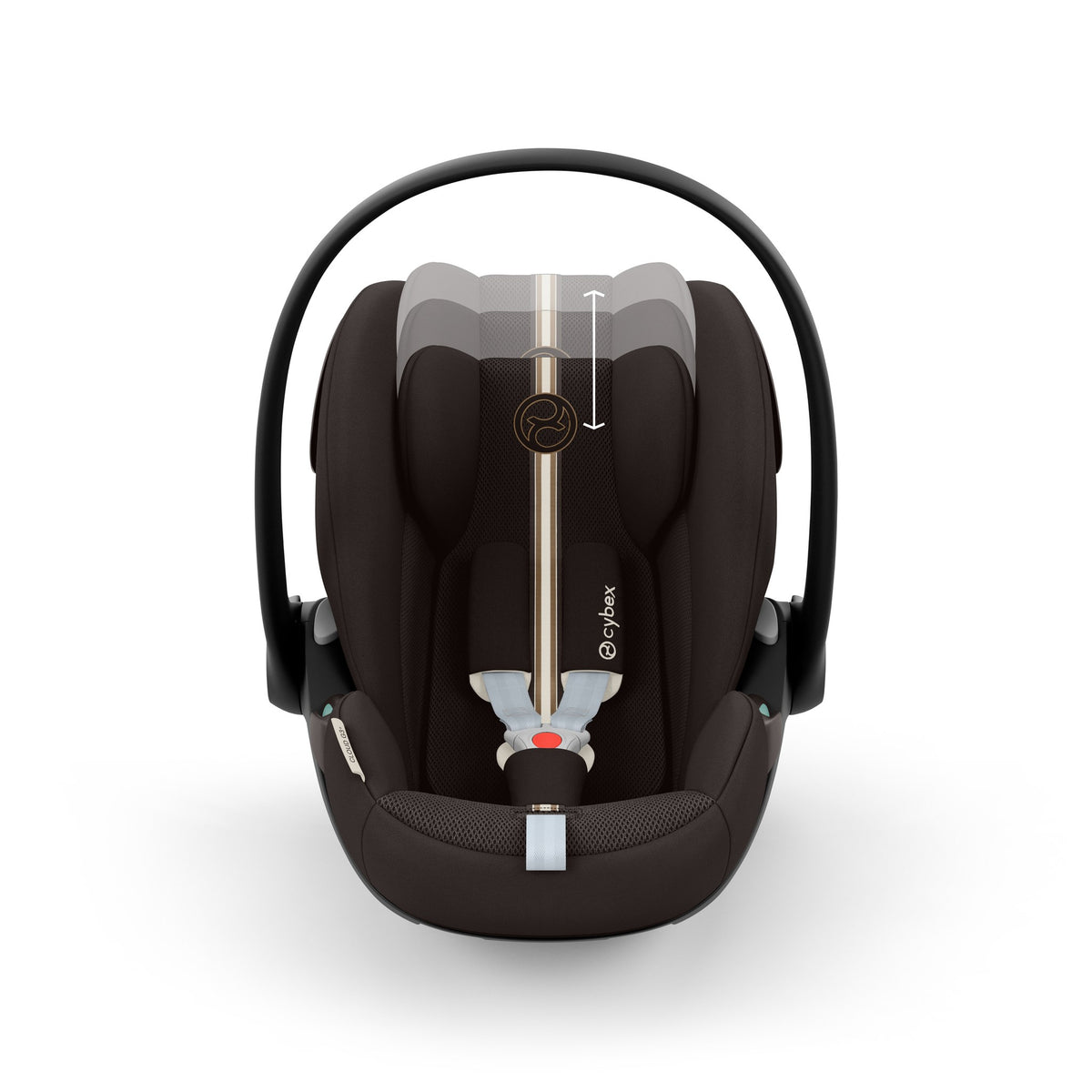 Cloud G3 Plus - Chocolate Brown
