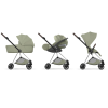 MIOS STYLE - MIOS CHROME BROWN SAGE GREEN