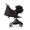 ORFEO TAUPE - CHOCOLATE BROWN