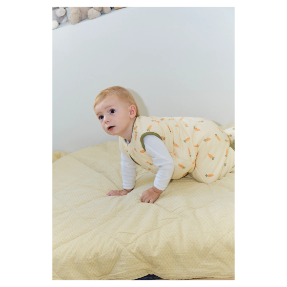 SACO DE DORMIR C/PERNAS CARROTS - TOG2.5 - 1 ANO