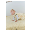 SACO DE DORMIR C/PERNAS CARROTS - TOG2.5 - 2 ANOS