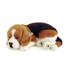 PELUCHE CÃO BEAGLE PERFECT PETZZZ