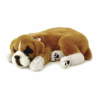 PELUCHE CÃO BOXER PERFECT PETZZZ