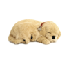 PELUCHE CÃO GOLDEN RETRIEVER PERFECT PETZZZ