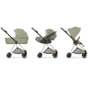 MIOS ROSEGOLD STYLE - MIOS ROSEGOLD SAGE GREEN